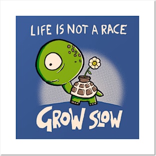 Grow Slow Posters and Art